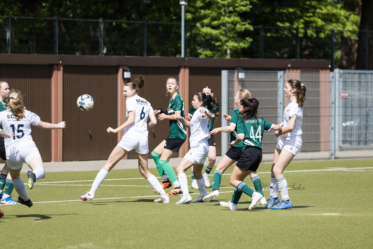 Bild 254 - wBJ SC Alstertal-Langenhorn - Rissener SV : Ergebnis: 9:0